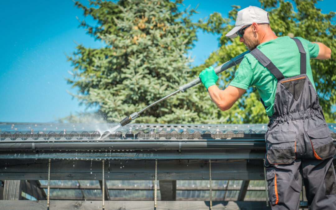 Why Your Windows Deserve More Than a Spring Cleaning: The Case for Year-Round Clarity